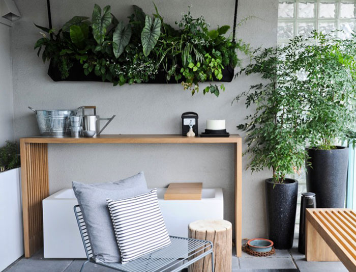 استفاده از گیاهان آپارتمانی در منزل